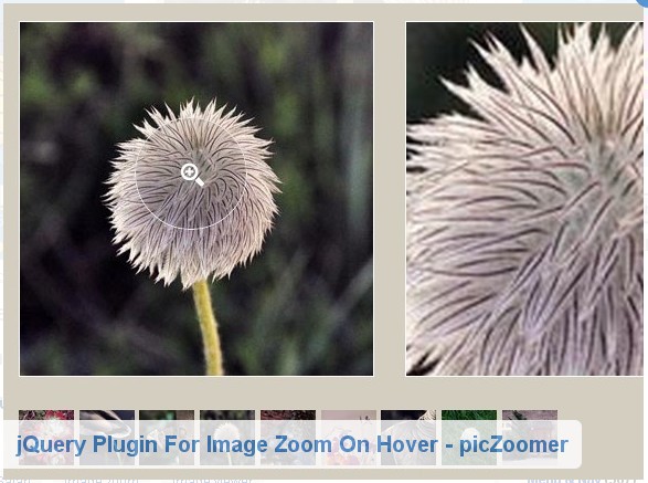 jquery image zoom plugins